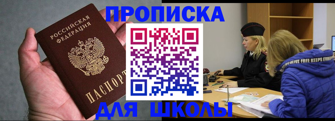 прописка в Сольцах
